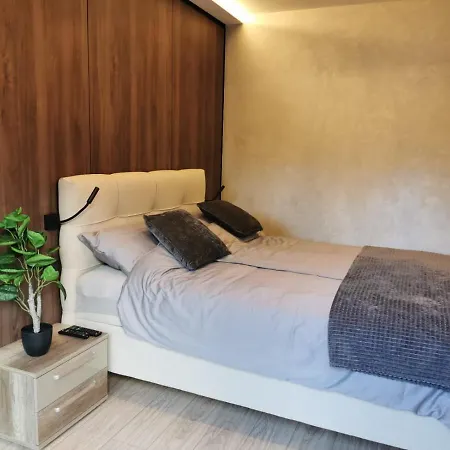 Apartman Ehinacea