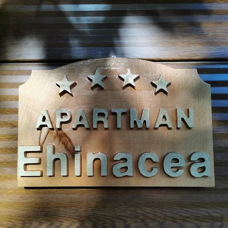 Ehinacea Rtanj
