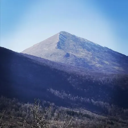 Apartmán Ehinacea *